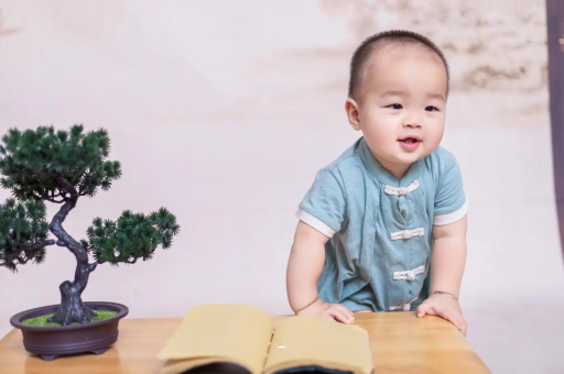 中卫可爱的企鹅宝宝